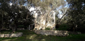 tour casella